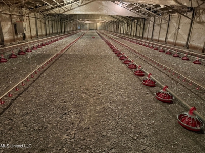 Tylertown, MS 6-House Poultry Broiler Farm - image 14
