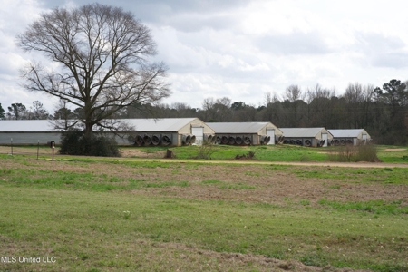 Tylertown, MS 6-House Poultry Broiler Farm - image 2