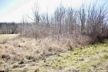 Land For Sale In Wayne County Tn With Creek - image 12