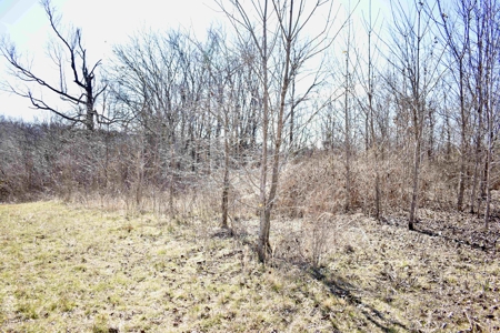 Land For Sale In Wayne County Tn With Creek - image 13