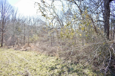Land For Sale In Wayne County Tn With Creek - image 28