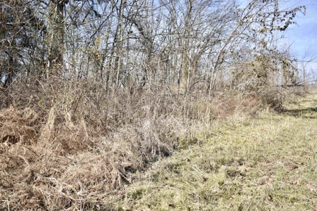 Land For Sale In Wayne County Tn With Creek - image 25