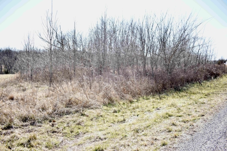 Land For Sale In Wayne County Tn With Creek - image 24