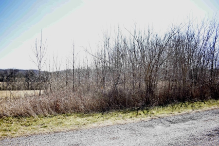 Land For Sale In Wayne County Tn With Creek - image 23