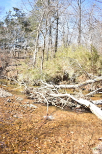 Land For Sale In Wayne County Tn With Creek - image 10