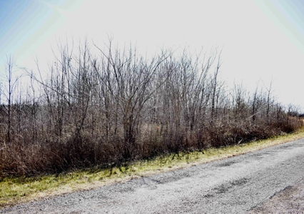 Land For Sale In Wayne County Tn With Creek - image 30