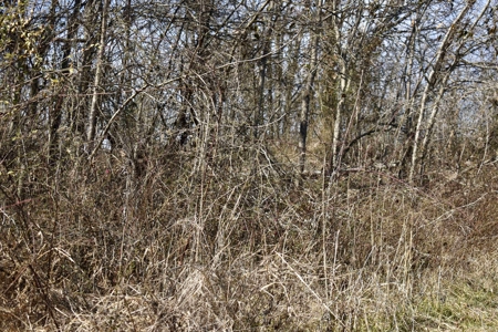 Land For Sale In Wayne County Tn With Creek - image 27