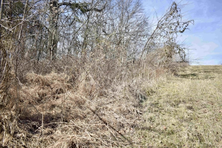 Land For Sale In Wayne County Tn With Creek - image 14