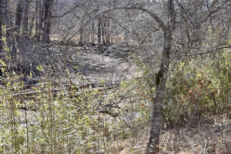 Land For Sale In Wayne County Tn With Creek - image 29