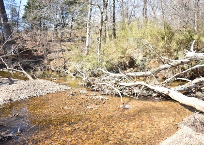 Land For Sale In Wayne County Tn With Creek - image 1