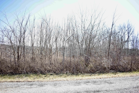 Land For Sale In Wayne County Tn With Creek - image 17