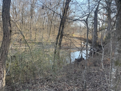 Land For Sale In Wayne County Tn With Creek - image 2