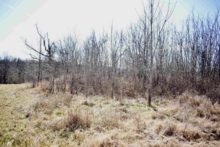 Land For Sale In Wayne County Tn With Creek - image 18