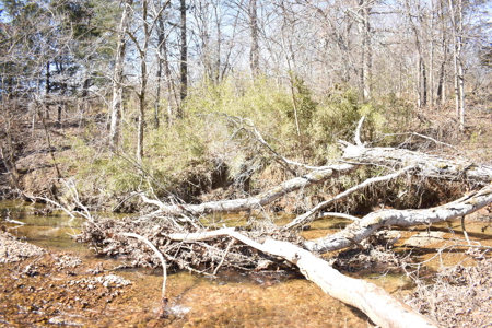 Land For Sale In Wayne County Tn With Creek - image 3