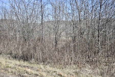 Land For Sale In Wayne County Tn With Creek - image 22