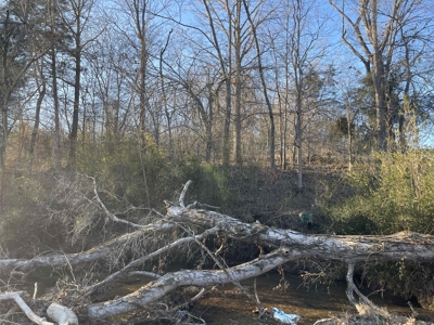 Land For Sale In Wayne County Tn With Creek - image 4