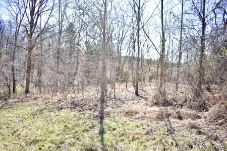 Land For Sale In Wayne County Tn With Creek - image 15