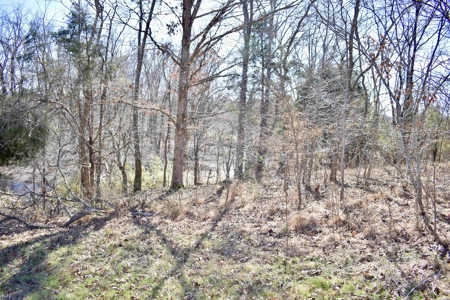 Land For Sale In Wayne County Tn With Creek - image 21