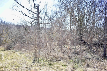 Land For Sale In Wayne County Tn With Creek - image 19