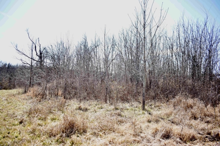 Land For Sale In Wayne County Tn With Creek - image 26