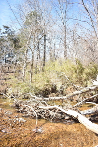 Land For Sale In Wayne County Tn With Creek - image 6