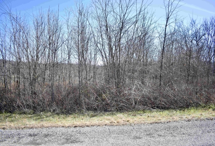 Land For Sale In Wayne County Tn With Creek - image 16