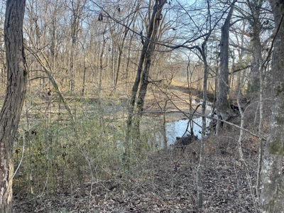 Land For Sale In Wayne County Tn With Creek - image 11