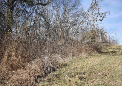 Land For Sale In Wayne County Tn With Creek - image 5