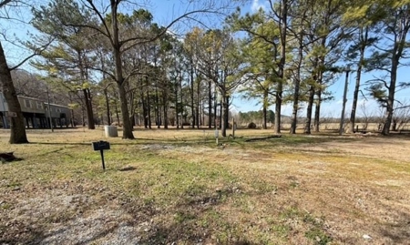 RV Park for Sale on the Eleven Point River in Randolph County AR - image 3