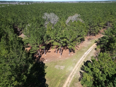 Legacy +/-420-Acre Texas Land Investment Near Texarkana - image 7
