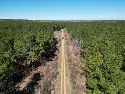 Legacy +/-420-Acre Texas Land Investment Near Texarkana - image 16