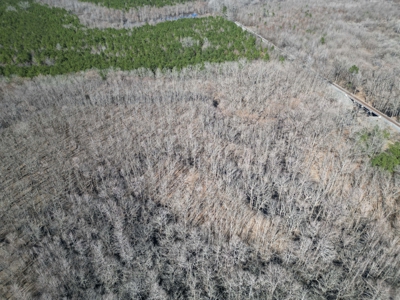 Legacy +/-420-Acre Texas Land Investment Near Texarkana - image 22