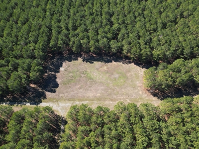 Legacy +/-420-Acre Texas Land Investment Near Texarkana - image 21