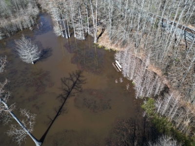 Legacy +/-420-Acre Texas Land Investment Near Texarkana - image 26