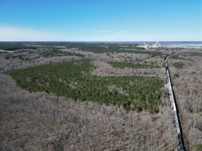 Legacy +/-420-Acre Texas Land Investment Near Texarkana - image 23