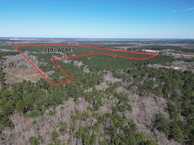 Legacy +/-420-Acre Texas Land Investment Near Texarkana - image 1