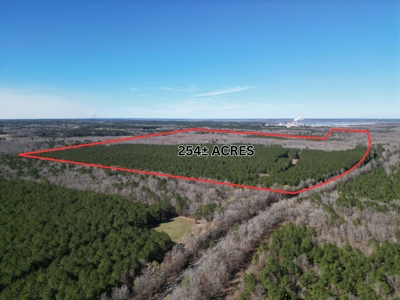 Legacy +/-420-Acre Texas Land Investment Near Texarkana - image 2