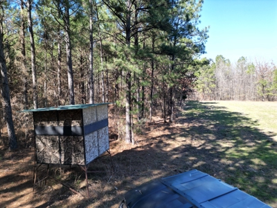 Legacy +/-420-Acre Texas Land Investment Near Texarkana - image 29