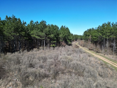 Legacy +/-420-Acre Texas Land Investment Near Texarkana - image 18