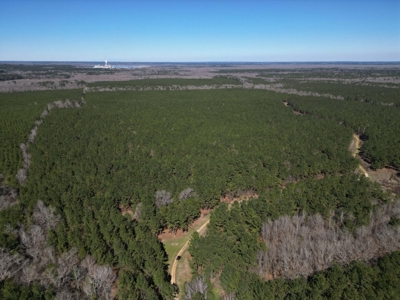 Legacy +/-420-Acre Texas Land Investment Near Texarkana - image 9