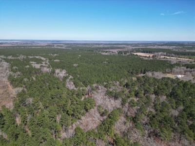 Legacy +/-420-Acre Texas Land Investment Near Texarkana - image 35