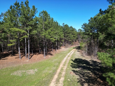 Legacy +/-420-Acre Texas Land Investment Near Texarkana - image 6