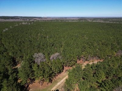 Legacy +/-420-Acre Texas Land Investment Near Texarkana - image 12