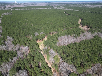 Legacy +/-420-Acre Texas Land Investment Near Texarkana - image 11