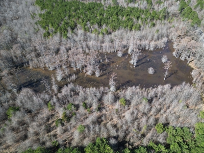 Legacy +/-420-Acre Texas Land Investment Near Texarkana - image 24