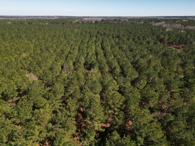Legacy +/-420-Acre Texas Land Investment Near Texarkana - image 13