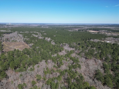 Legacy +/-420-Acre Texas Land Investment Near Texarkana - image 34