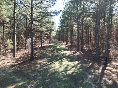 Legacy +/-420-Acre Texas Land Investment Near Texarkana - image 28