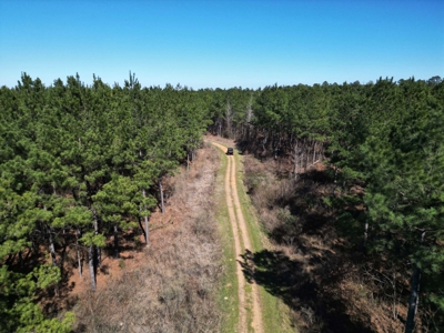 Legacy +/-420-Acre Texas Land Investment Near Texarkana - image 15