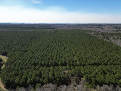 Legacy +/-420-Acre Texas Land Investment Near Texarkana - image 31